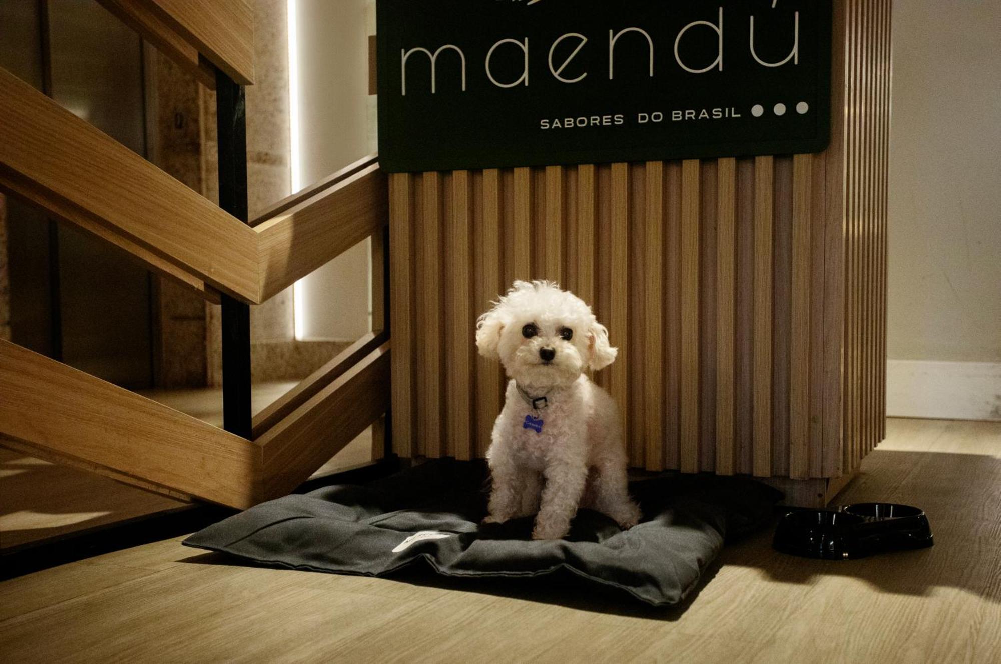 Mercure Maceio Pajucara Eksteriør bilde